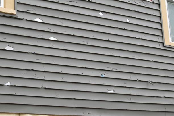 Affordable siding repair and maintenance services in Lake Wildwood, CA